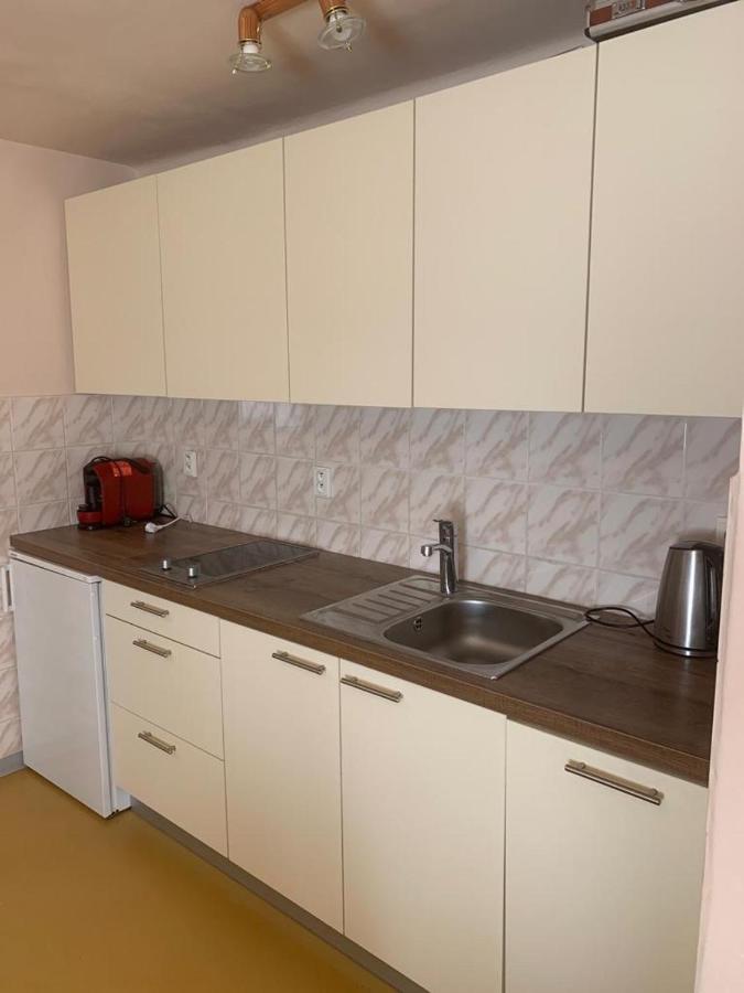 Apartment Jane Сенец Экстерьер фото